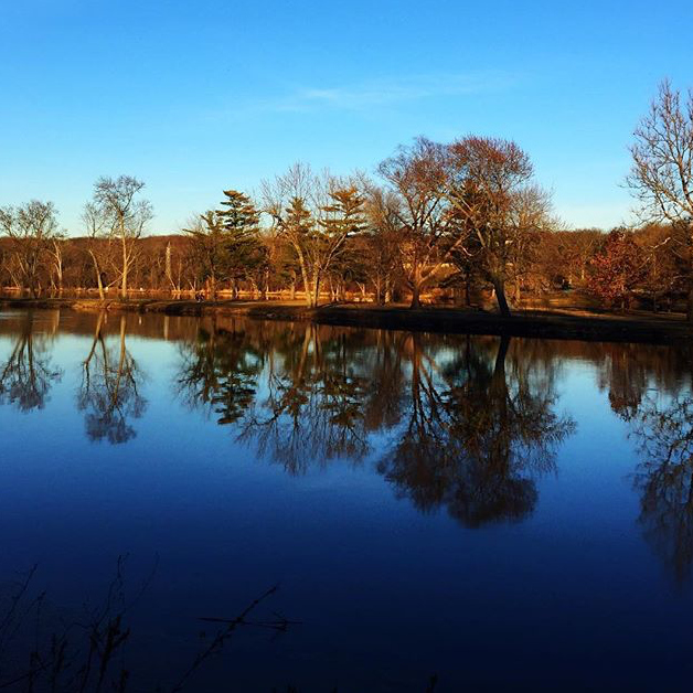 Fabyan Forest Preserve - @misslolo_kitty
